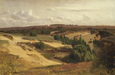 Die Heide bei Bispingen, 1887